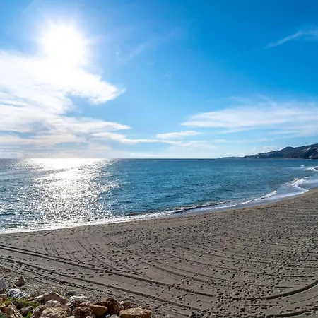 Arce 5 Torrecilla Casasol *